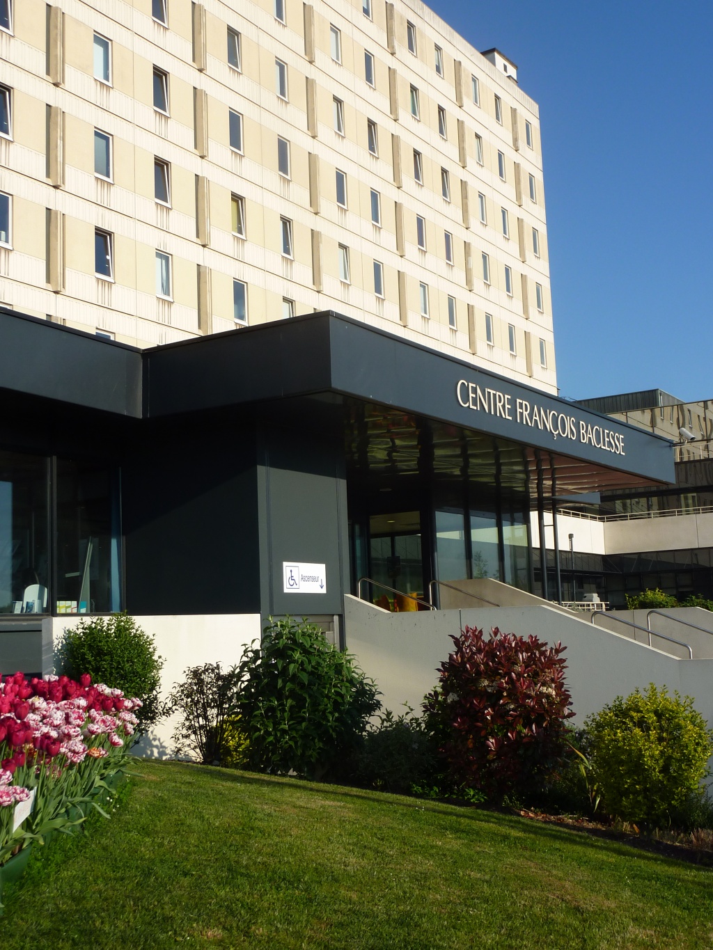 Assistant(e) Social(e)