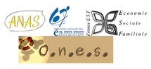 Reconnaissance Niveau Licence : une avancée qui doit se concrétiser Reconnaissance Niveau Licence : une avancée qui doit se concrétiser
