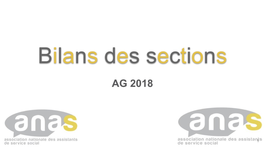 Assemblée Générale 2018 : Bilan des sections, commissions et groupes Assemblée Générale 2018 : Bilan des sections, commissions et groupes