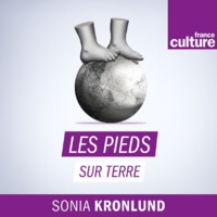 L'illectronisme : ceux qui ne s'y font pas - France Culture - Les Pieds sur Terre - par Emilie Chaudet