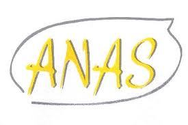 Protection de l’enfance : l'ANAS fait 5 propositions d’améliorations Protection de l’enfance : l'ANAS fait 5 propositions d’améliorations