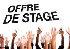 Pallier au manque de stage... ou sacrifier une professionnalisation de qualité ? Pallier au manque de stage... ou sacrifier une professionnalisation de qualité ?