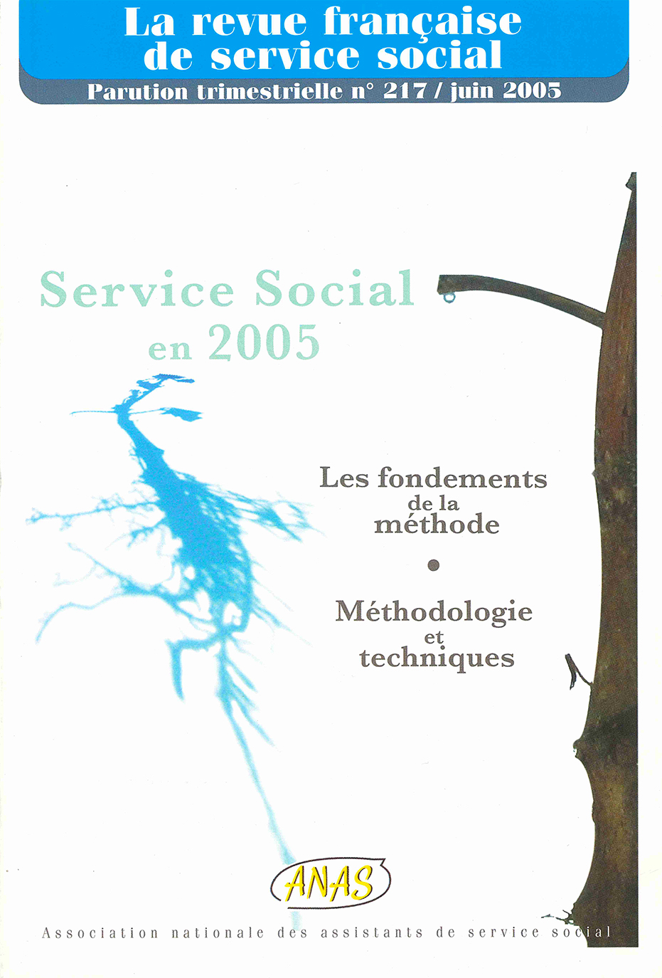RFSS N°217 : "Service Social en 2005 - Les fondements de la méthode - Méthodologie et techniques"