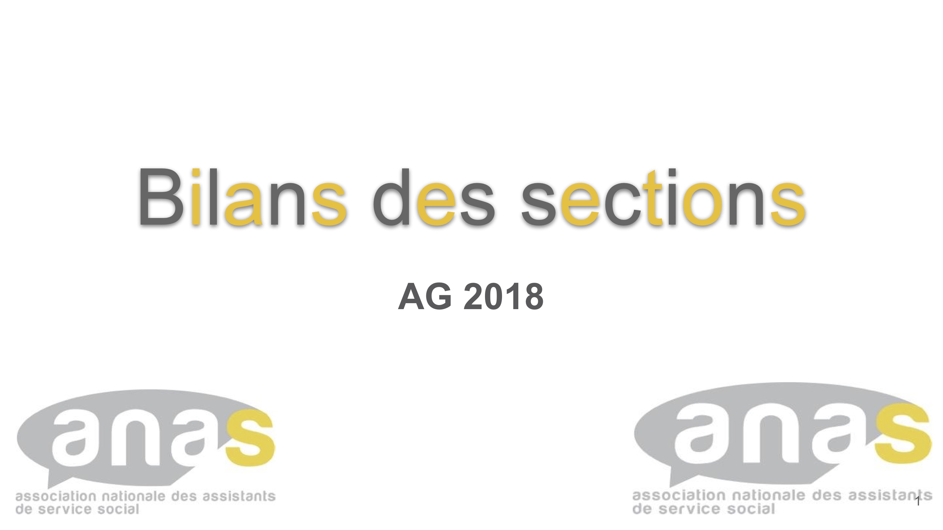 Assemblée Générale 2018 : Bilan des sections, commissions et groupes