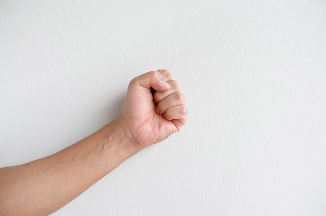 Création d'un collectif de Conseillers Socio-Educatifs dans le 93