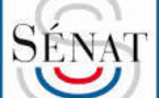 Deux sénatrices déposent un projet de loi relatif à « la protection de l’enfant » : l’ANAS décrypte Deux sénatrices déposent un projet de loi relatif à « la protection de l’enfant » : l’ANAS décrypte