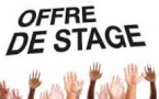 Pallier au manque de stage... ou sacrifier une professionnalisation de qualité ?